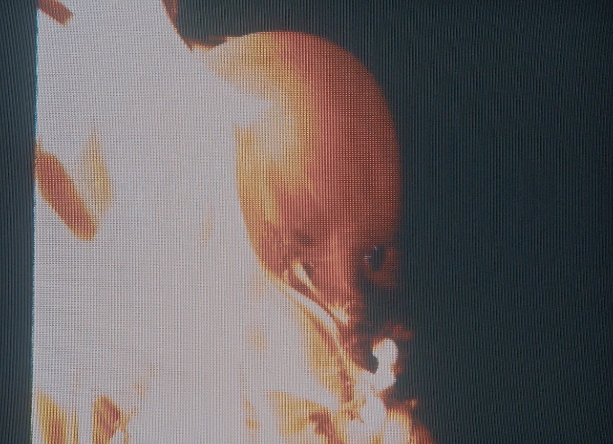 Captura de pantalla 2025-03-18 120258